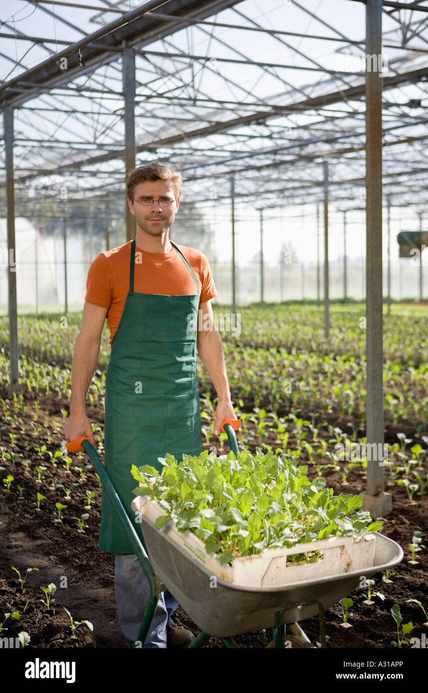 Menschen drängen Schubkarre mit Pflanzen Stockfoto