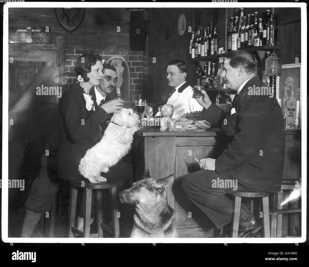 Hunde-Club-Cocktail-Bar Stockfoto