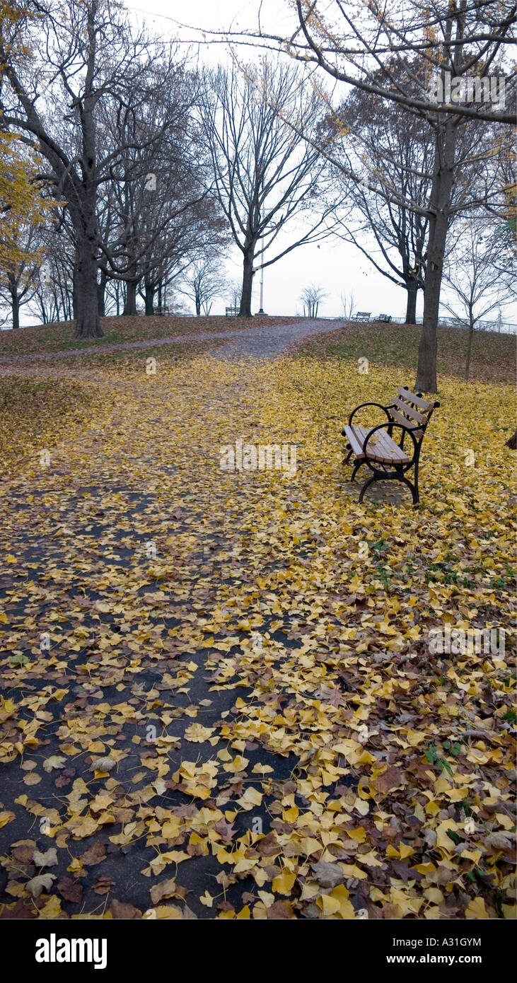 Friedlichen Weg übersät mit Blättern führt zu einer leeren Bank und Horizont Stockfoto