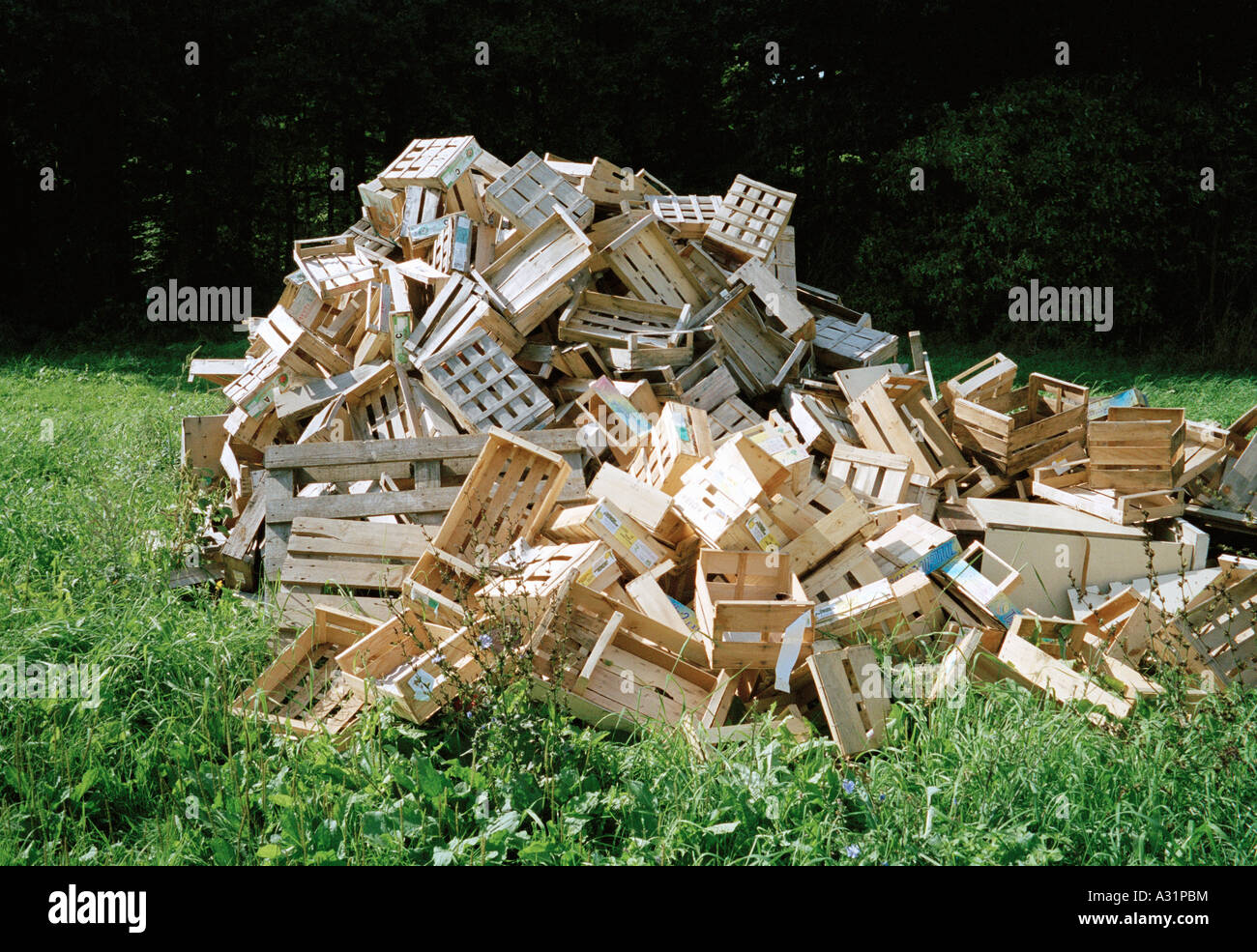 Ein Haufen von Holzkisten in einem Feld Stockfoto