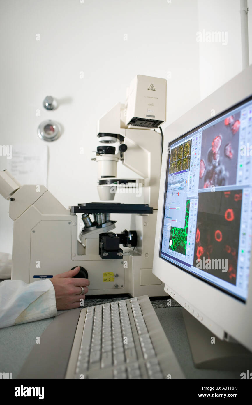 Techniker mit rechnergestützten Mikroskop im Labor Stockfoto