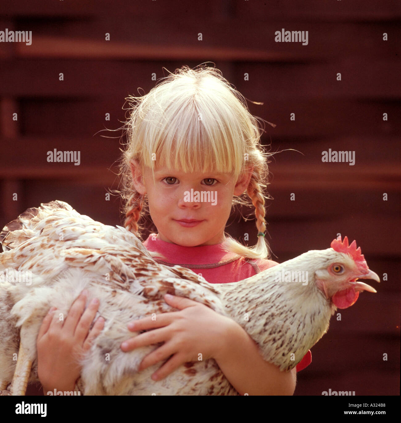 Kleine blonde Mädchen mit zwei Zöpfen eine Henne in ihren Armen halten Stockfoto