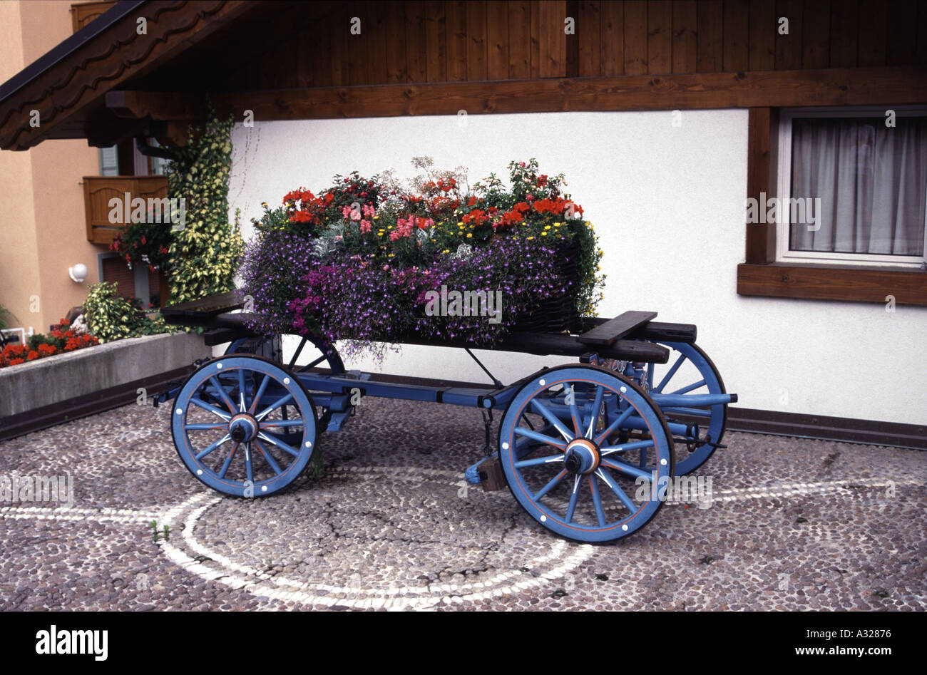 Holz Händler s Warenkorb in Molveno Norditalien jetzt als ein Übertopf für eine inländische Blütenpracht verwendet Stockfoto