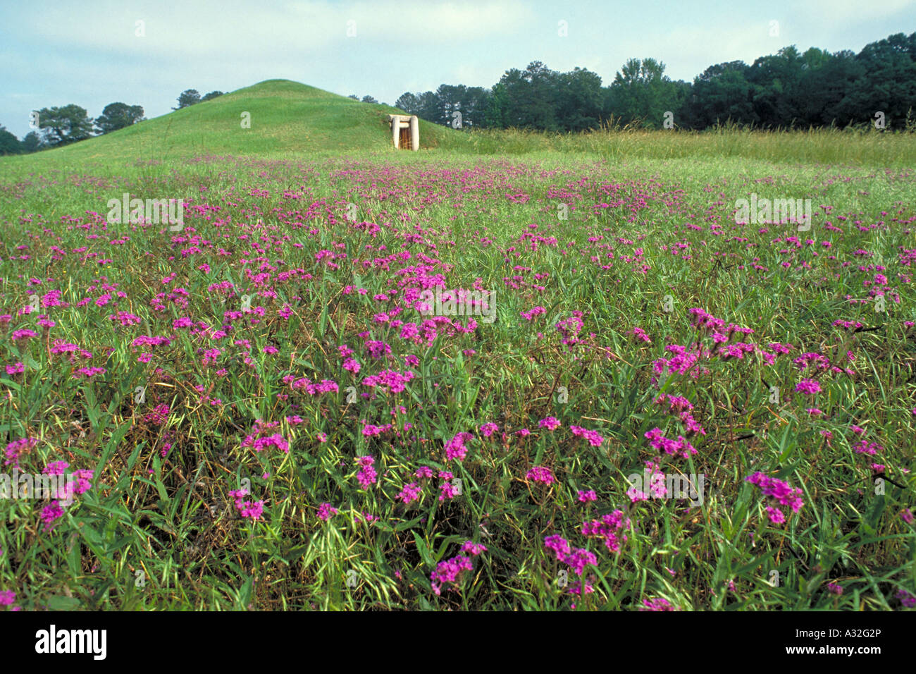 Elk222 2214 Georgien Okmulgee NM rekonstruiert earthlodge Stockfoto