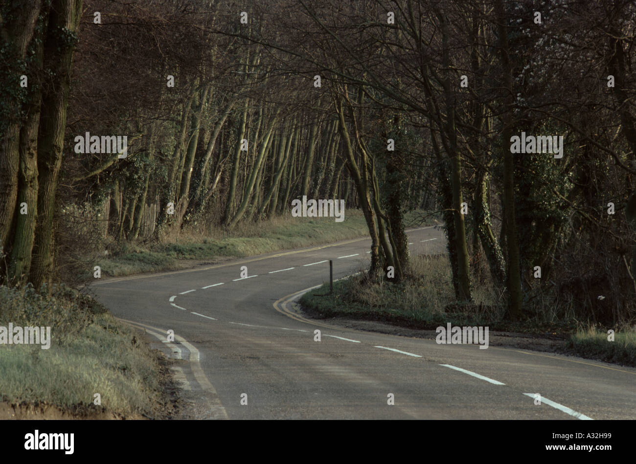 empty road Stockfoto