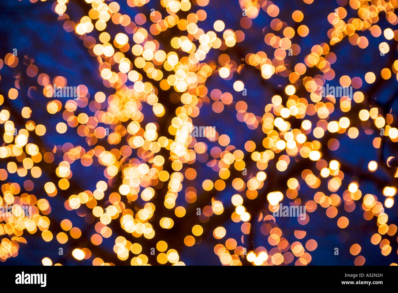 Lichterkette am Baum Stockfoto