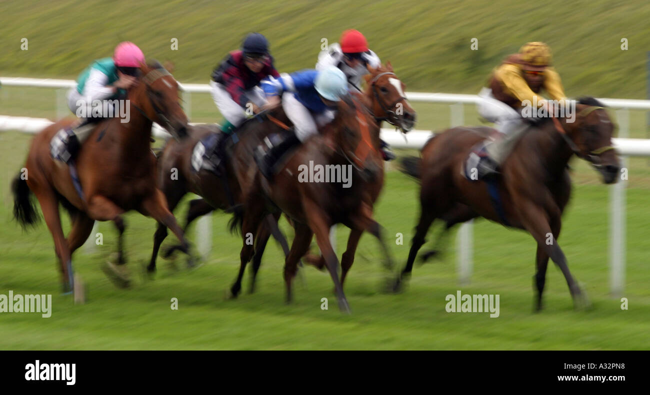 Pferderennen UK; Motion Blur in einem flachen Rennen, Newmarket Juli Rennbahn, Newmarket, Suffolk England Stockfoto