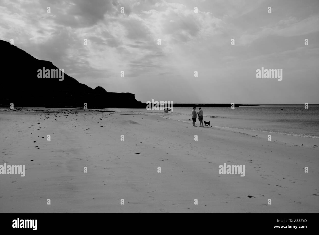 Hundewiesen in Calgary Bay Isle of Mull Schottland Stockfoto