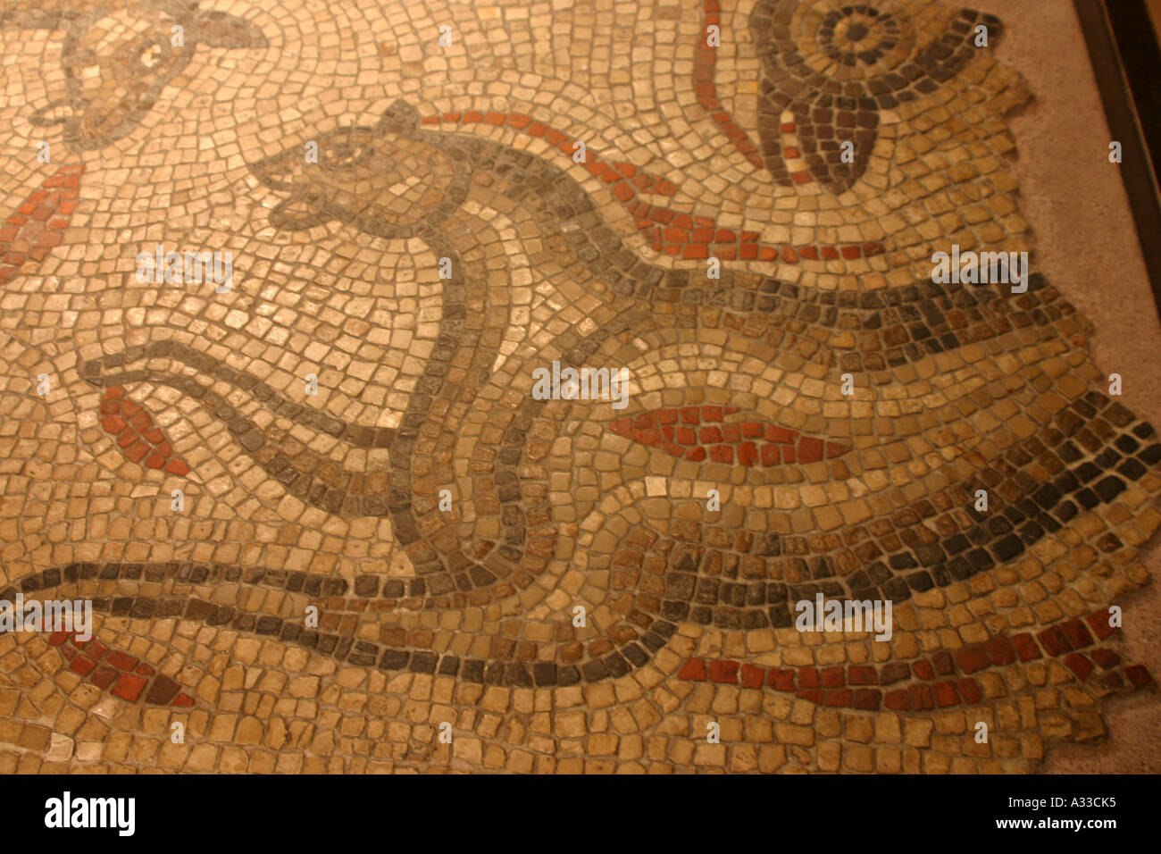 Römisches Mosaik eines Löwen in das römische Bad s Stockfoto