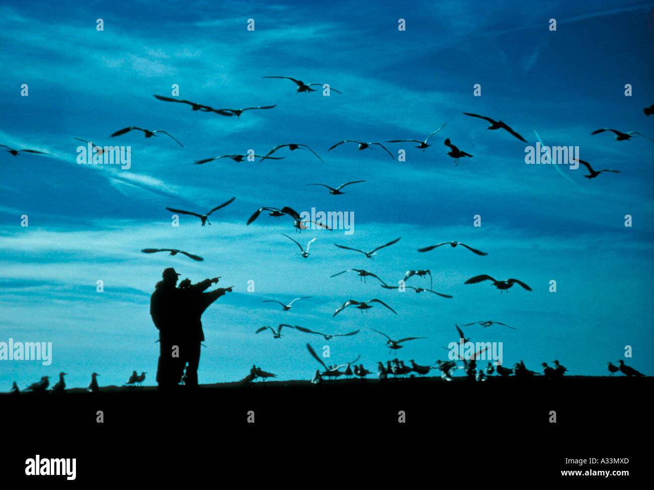 Ferienwohnungen MR147 217 Stockfoto