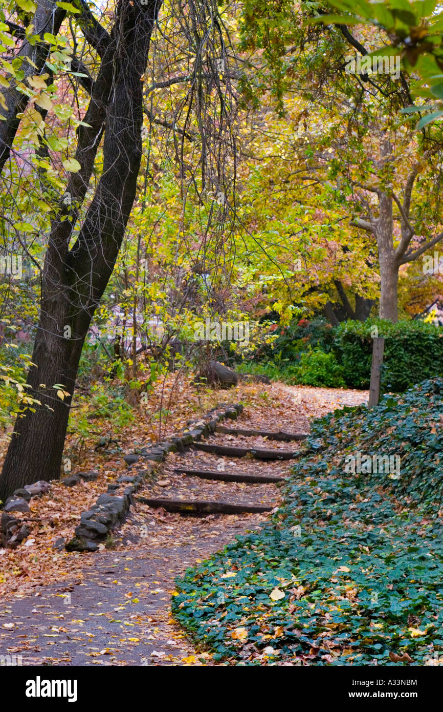 Herbstfarben erscheinen auf dem Chico State University Campus in Chico, Kalifornien. Stockfoto