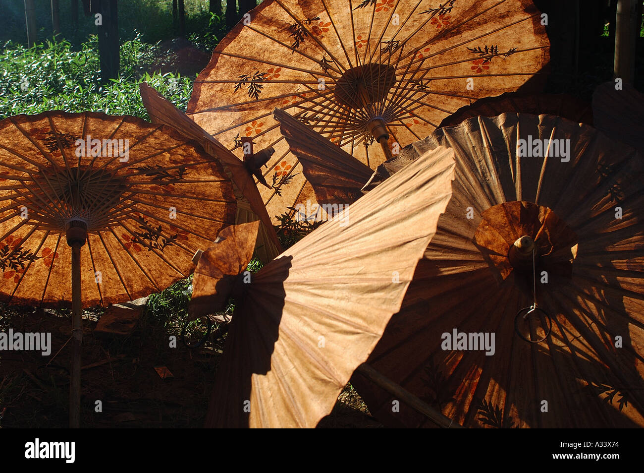 Regenschirme Sonne Schatten Regenschirm Entscheidungsträger Inle Lake Burma Myanmar Stockfoto