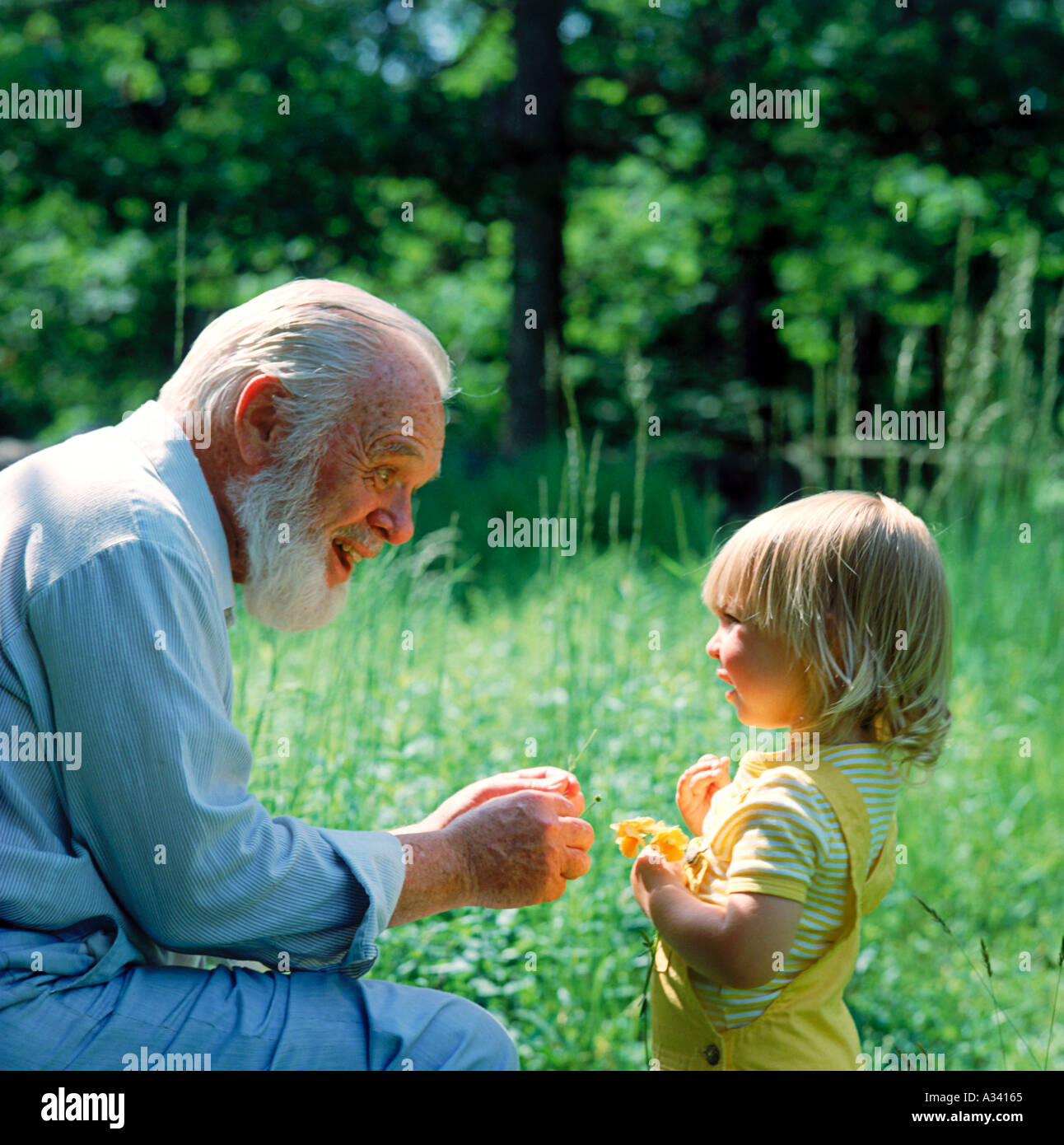 Ein lächelnder Großvater Wildblumen mit seinem Enkel den Großvater zu teilen hat einen Bart Stockfoto