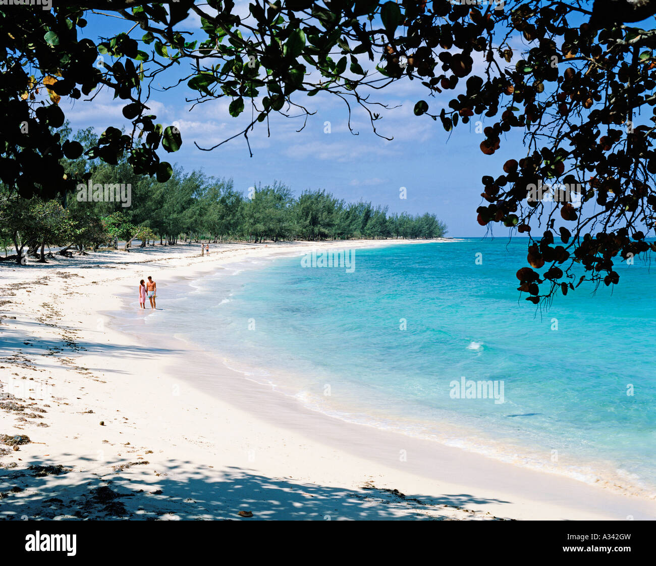 BAHAMAS PROVIDENCE ISLAND ORANGE HILL BEACH Stockfoto
