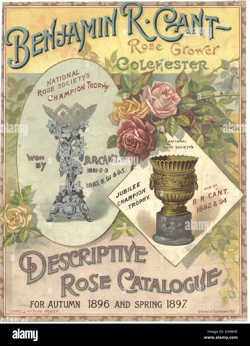Rose Katalog von Benjamin Cant 1896 Stockfoto
