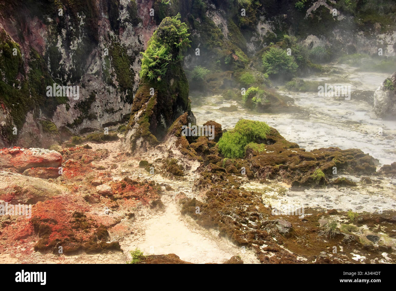 Hot Springs, New Zealand Stockfoto