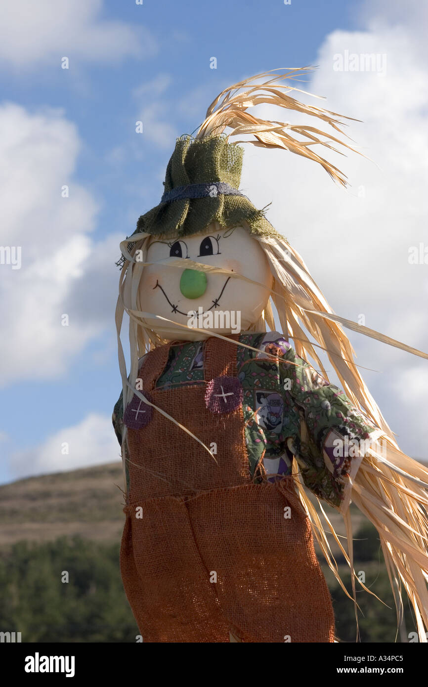 USA California Highway 1 Vogelscheuche Stockfoto