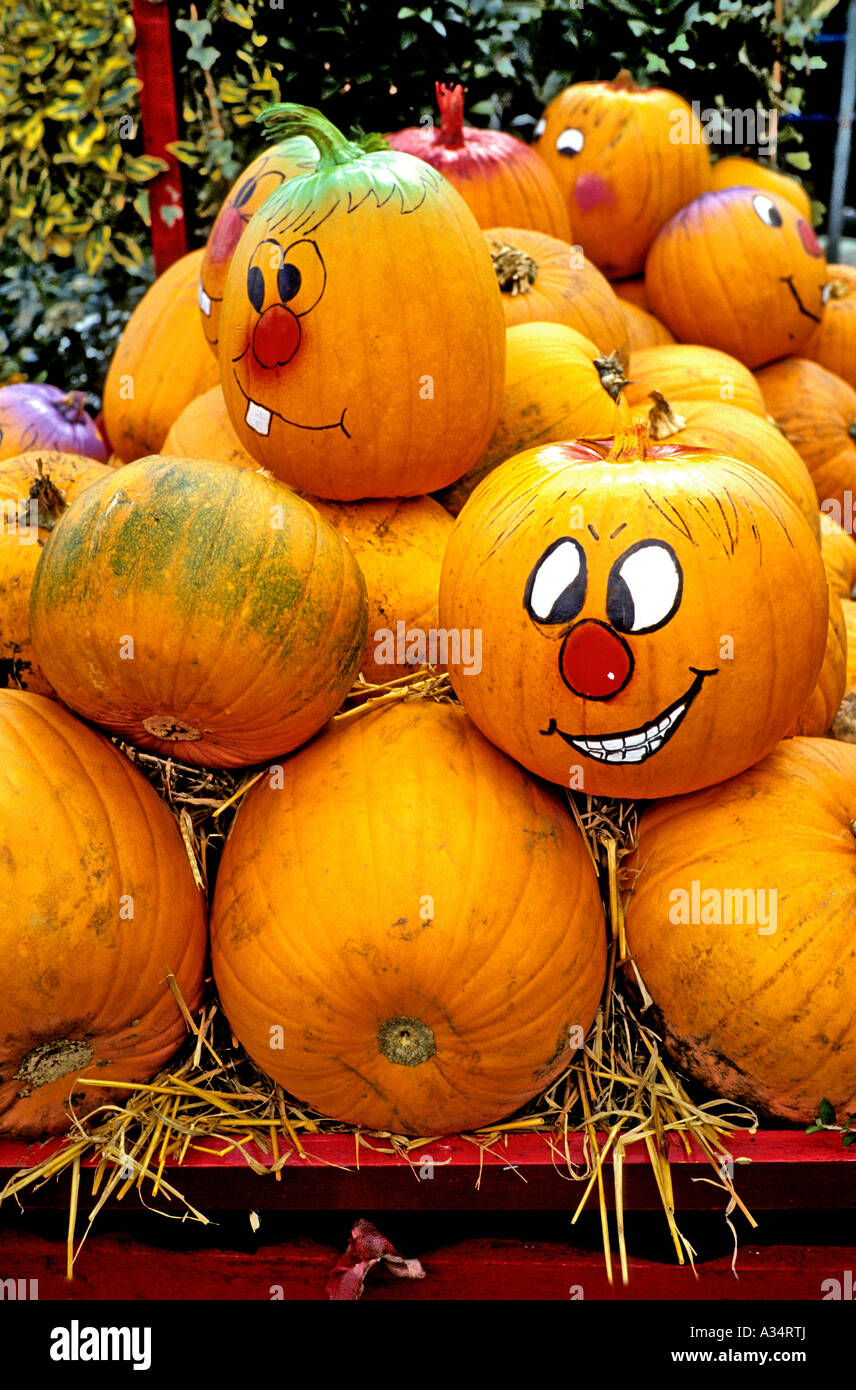 Kürbisse zum Verkauf in Wiltshire England UK EU zu feiern der Vorabend von Allerheiligen am 31. Oktober Stockfoto