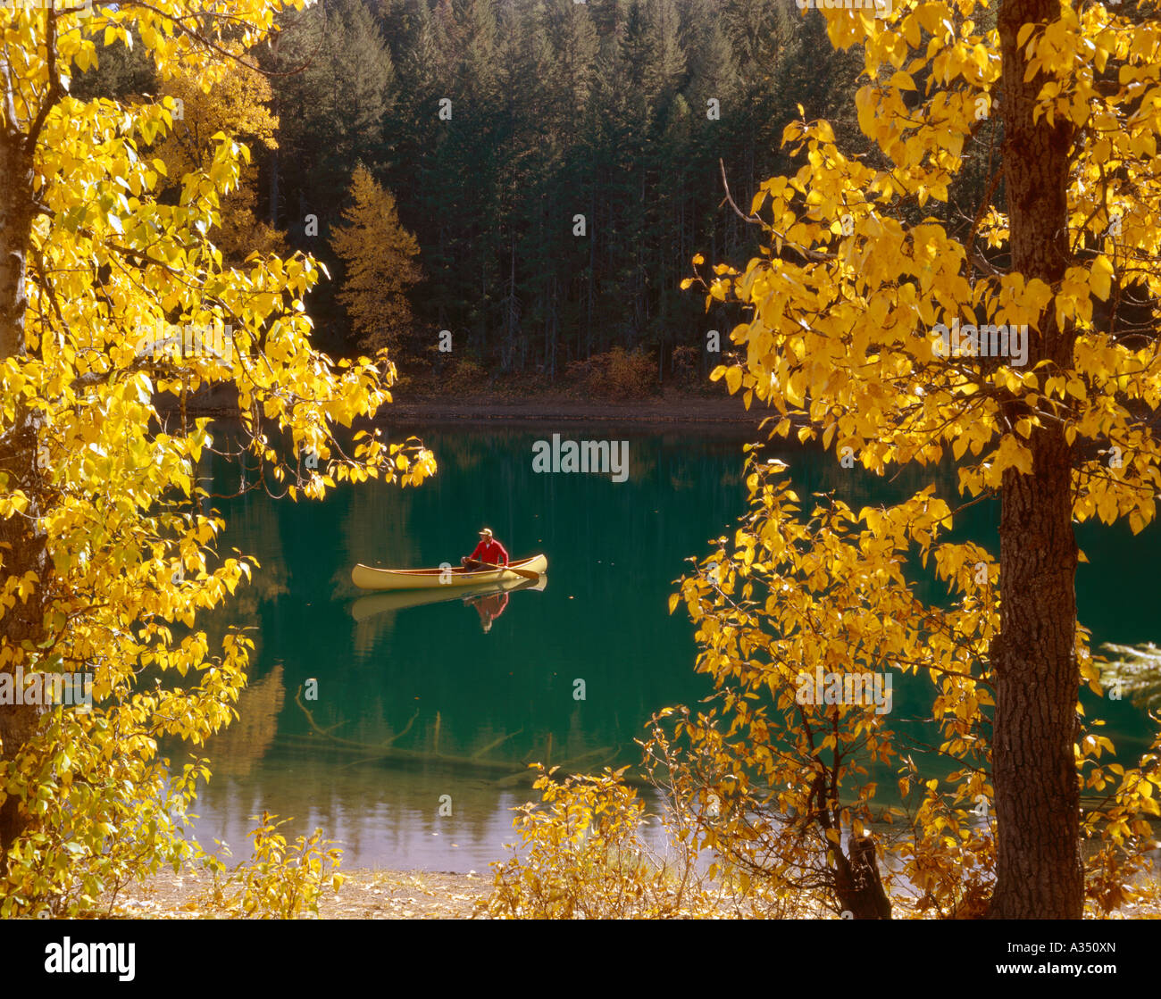 Einsamen Kanufahrer Paddeln auf dem ruhigen Wasser des Scout Lake im Herbst in der Cascade Mountain Range von Oregon Stockfoto