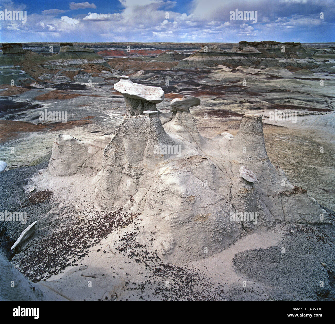 USA New Mexico Bisti Badlands auch bekannt als Bisti Wilderness Area befindet sich im Nordwesten von New Mexico Stockfoto