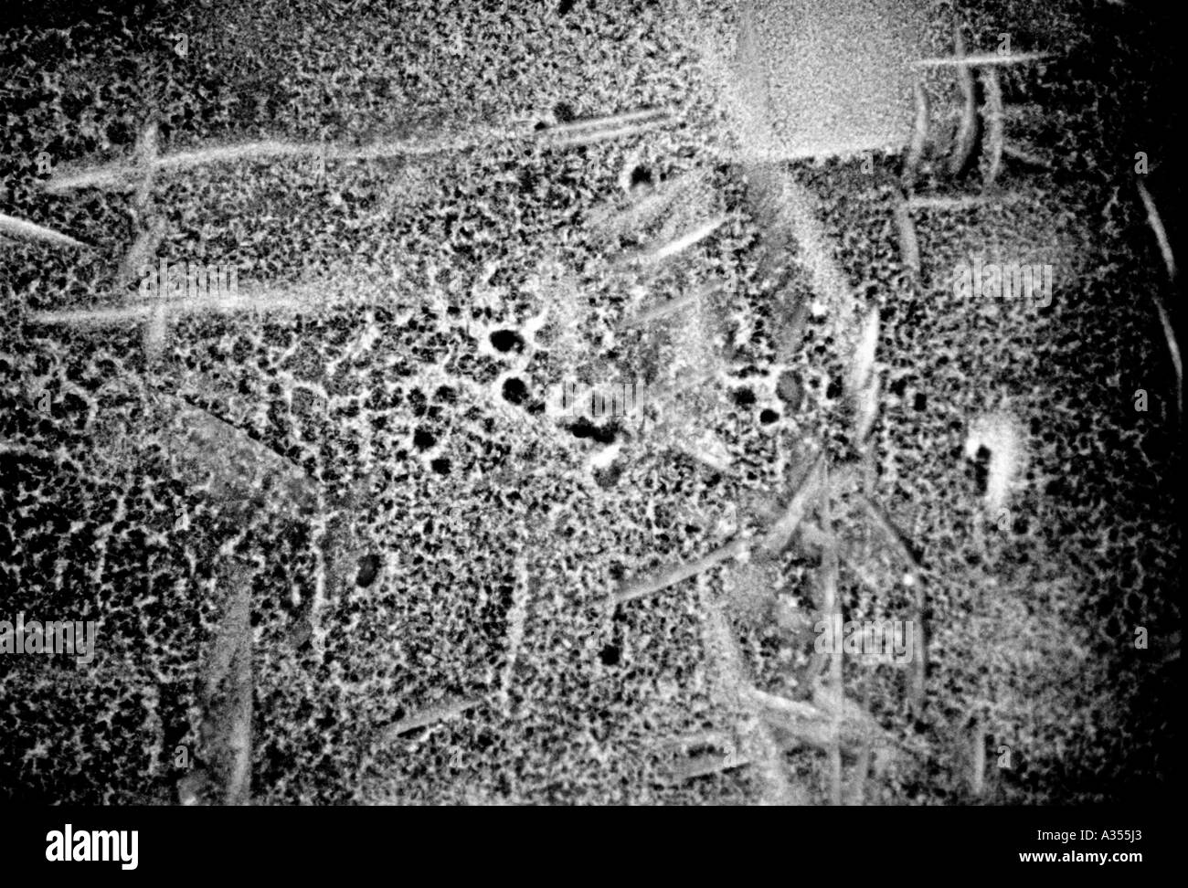 geätzte frost Stockfoto