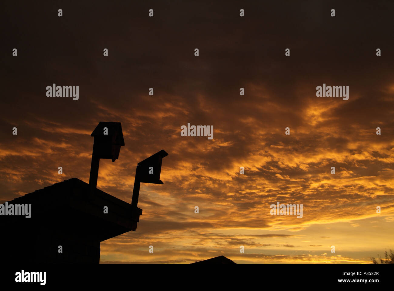 Zwei Vogelhäuschen auf ein Nebengebäude, die durch einen brillanten orange Sonnenuntergang Silhouette. Stockfoto