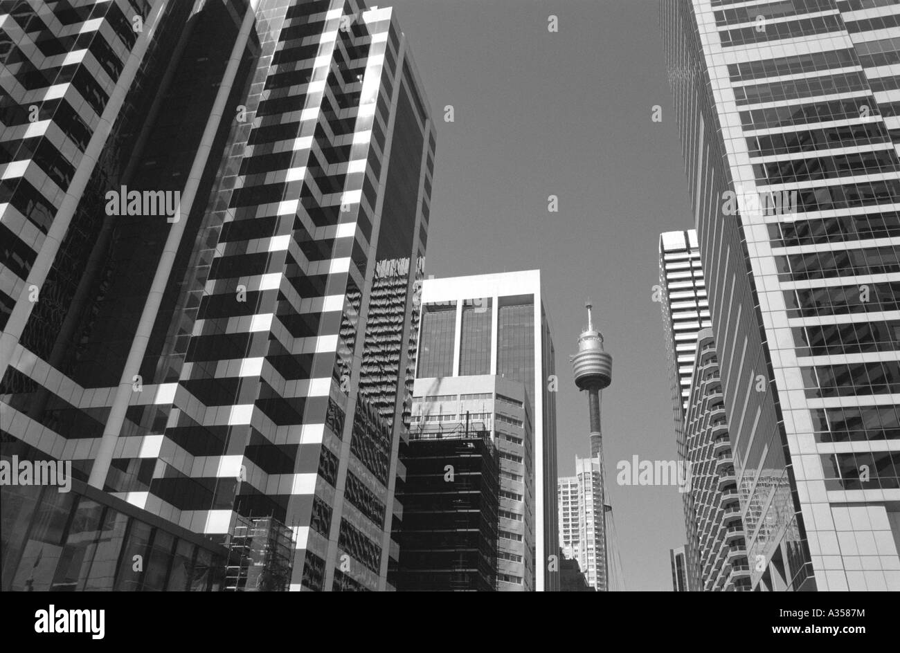 der Sydney Sky Tower in Sydney, Australien Stockfoto