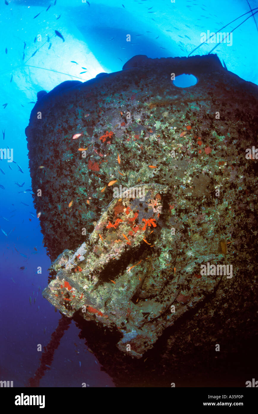 Der Bogen der das Wrack der Thistlegorm Stockfoto