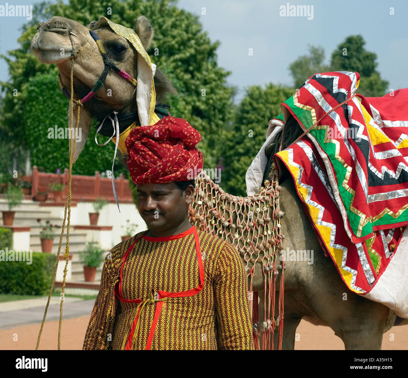 Indischer Mann mit einem Kamel in Jaipur, Rajasthan, Indien Stockfoto