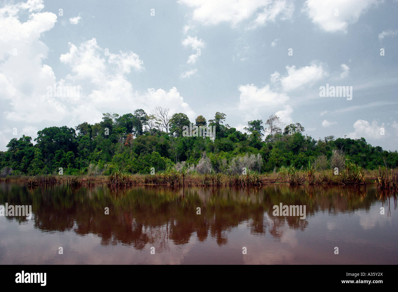 Tasek Bera Süßwassersee in Halbinselmalaysia Stockfoto