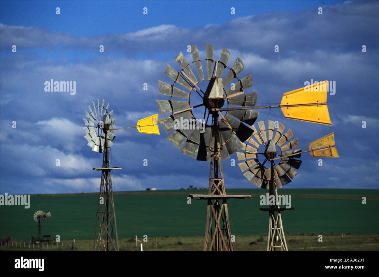 Penong South Australia 0172 Windmühlen Stockfoto