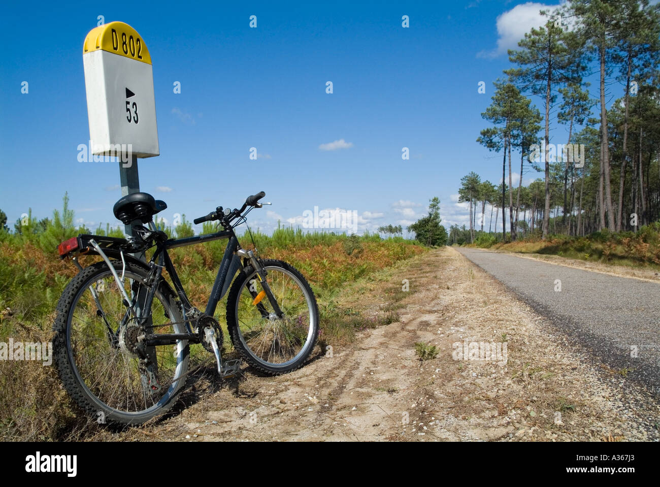 Mountain-Bike Parken gegen eine französische Meilenstein D802 Landstraße in den Landes Wald, Frankreich. Stockfoto