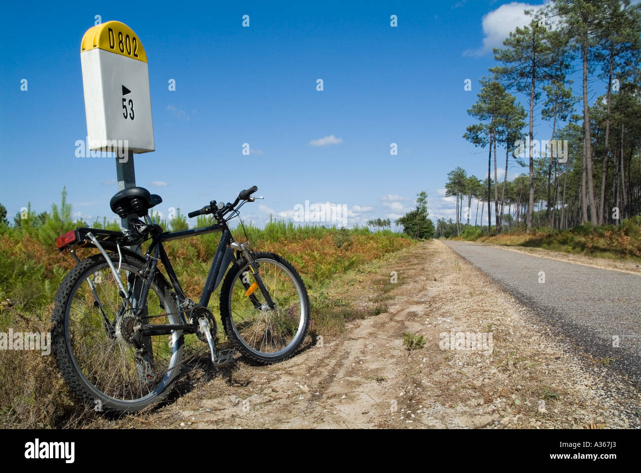 Mountainbike parkte an einer französischen Landstraße D802 im Landeswald, Frankreich. Stockfoto