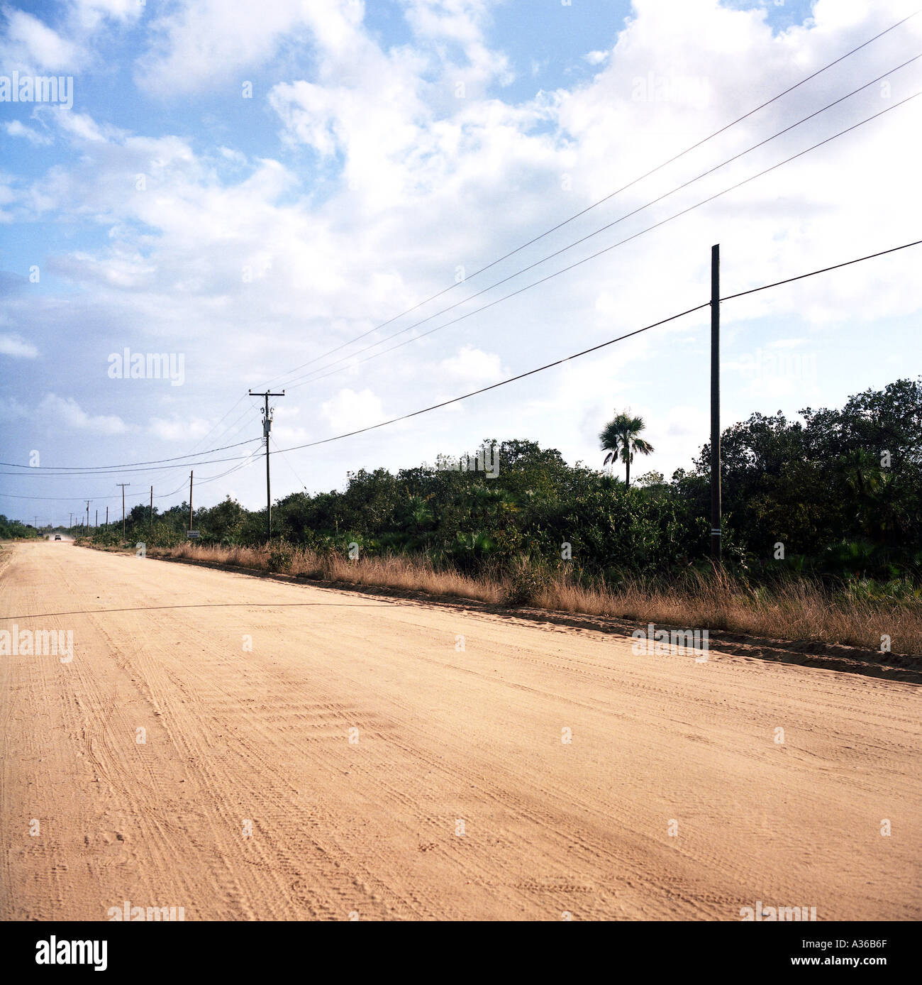 Feldweg in Belize Placencia Dorf führenden Stockfoto