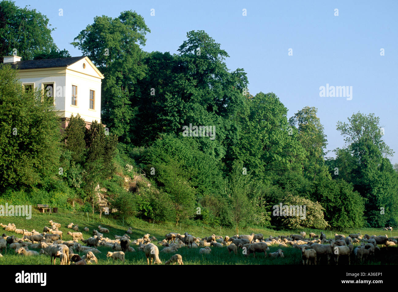 Römisches haus weimar Fotos und Bildmaterial in hoher Auflösung Alamy