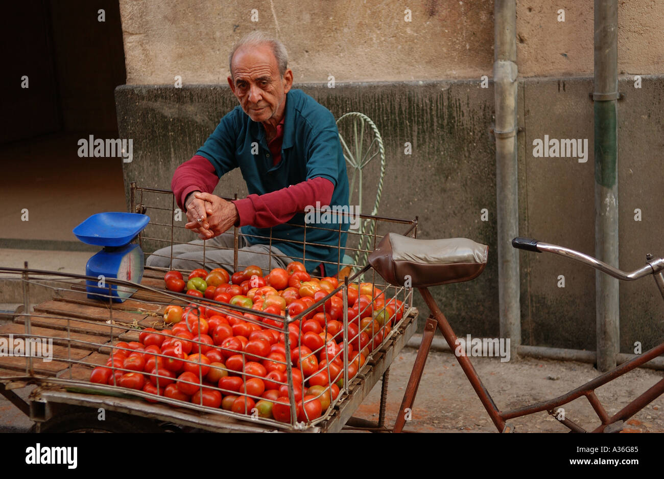 Mann sitzt neben einem Wagen voller Tomaten Havanna Kuba Stockfoto