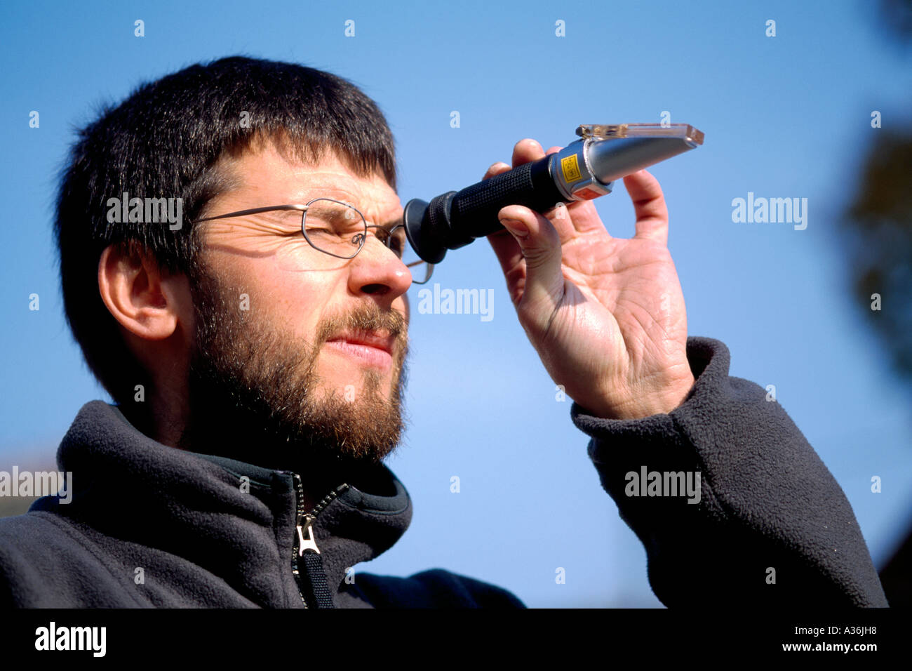 Winzers Bad Sulza Thüringen Stockfoto