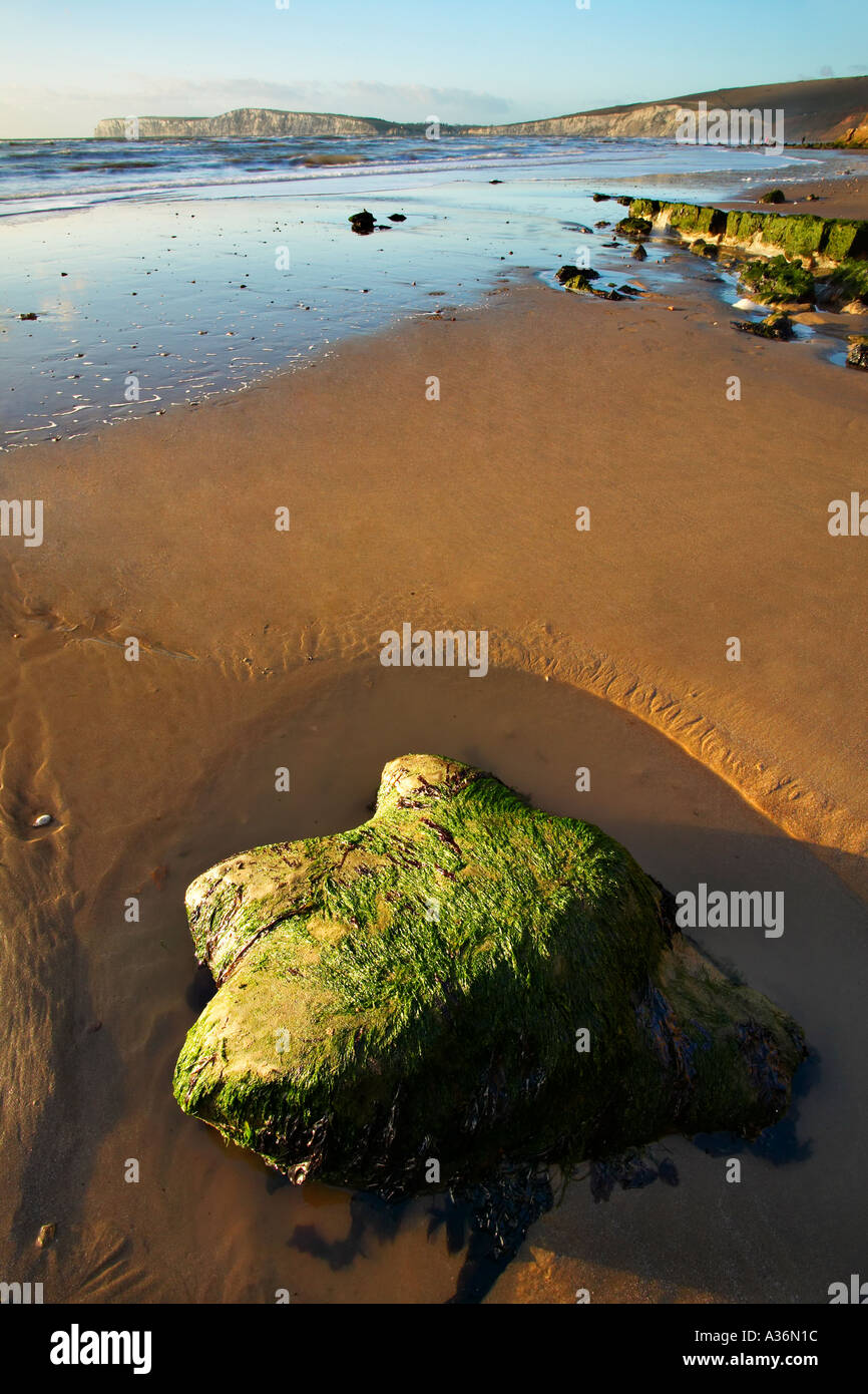Dinosaurier-Fußabdruck Compton Bucht Isle Of Wight Stockfoto