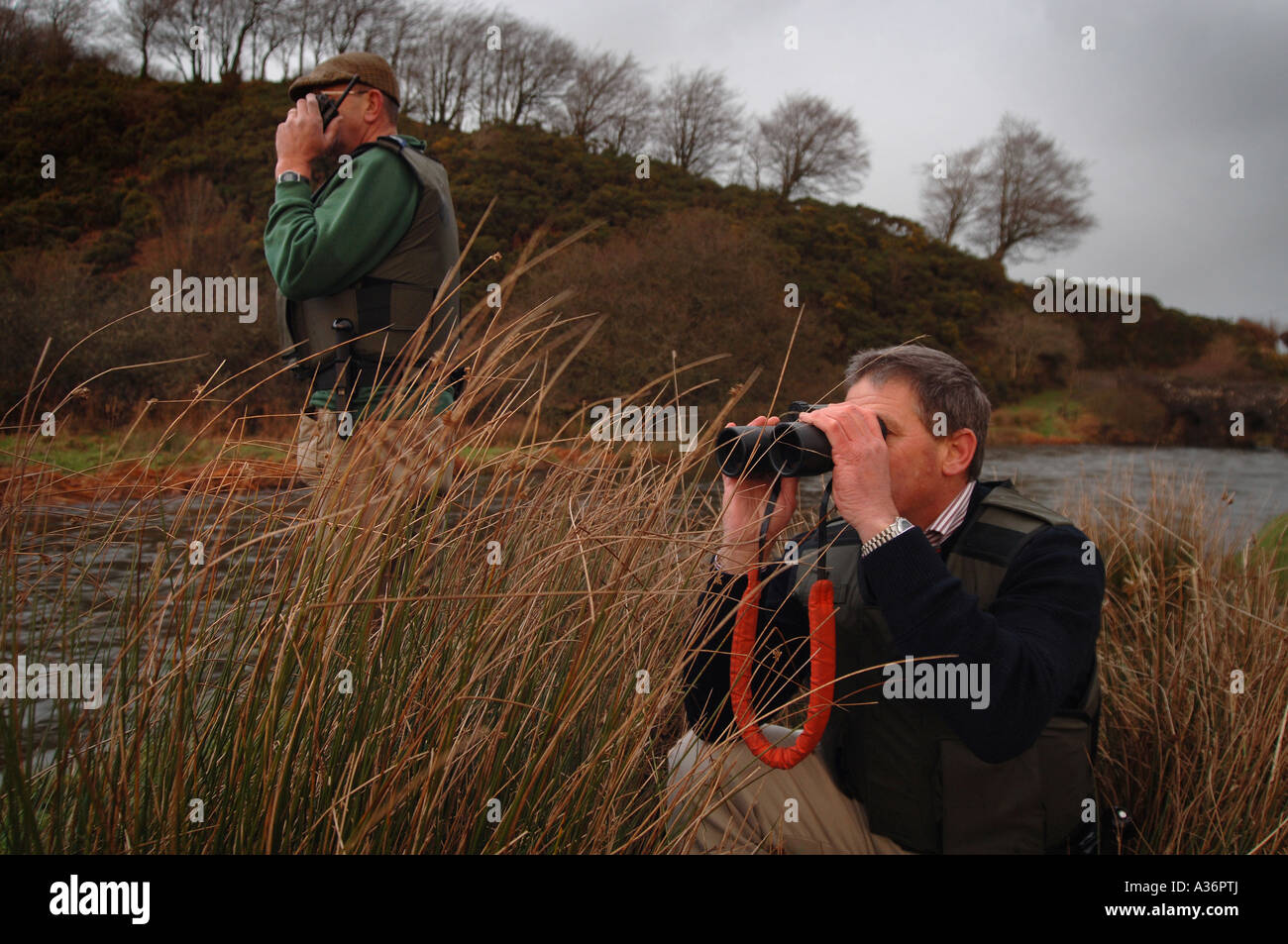 Umweltagentur Offiziere auf der Suche nach Wilderern entlang dem Fluß Barle auf Exmoor Somerset Stockfoto