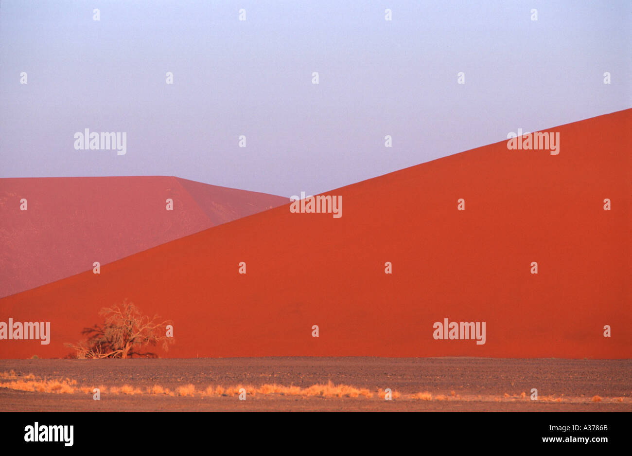 Düne 45 Sesriem Namib Naukluft Park Namibia 2000 Stockfoto