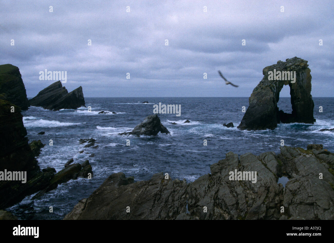 Foula Shetlands Schottland Seascape Gaada Stack Stockfoto