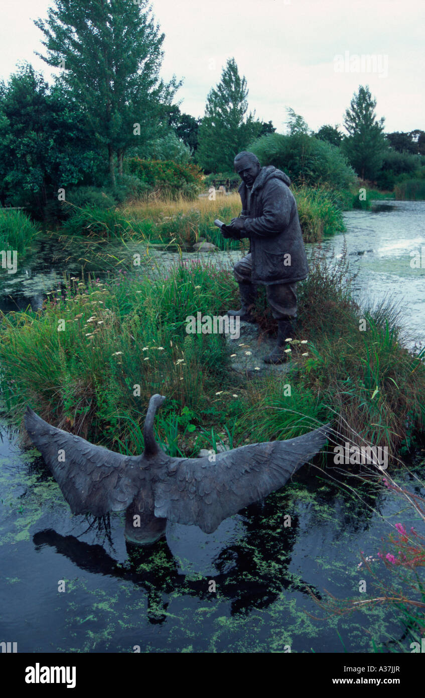 Statue von Sir Peter Scott, Maler und Naturforscher 1909-1989, Gründer des World Wildlife Fund für Natur, Barnes, London UK Stockfoto