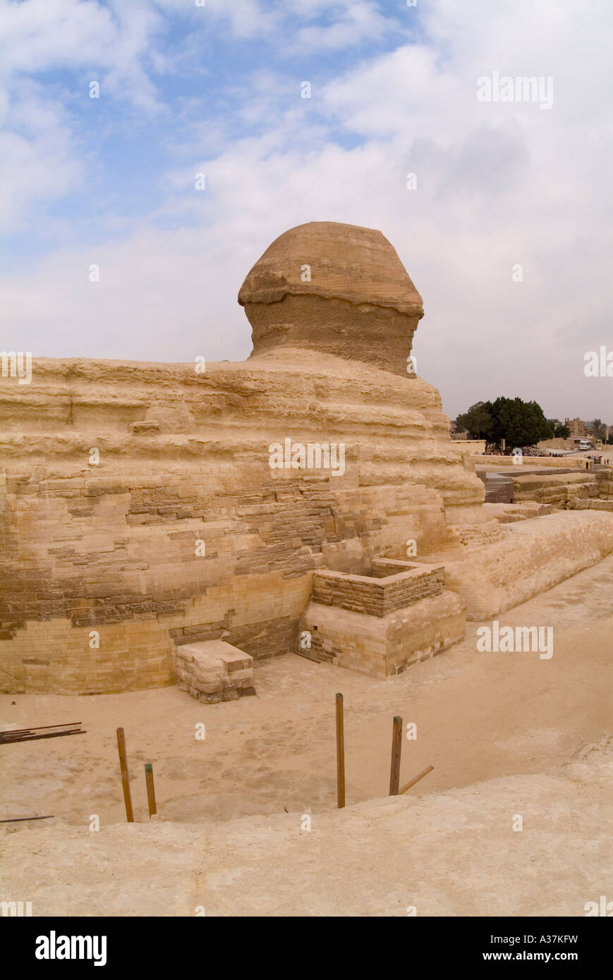 Der großen Sphinx Gestalt des Königs Chephren Gizeh plateau Rückseite Blick Kairo-Ägypten-Nordafrika Stockfoto