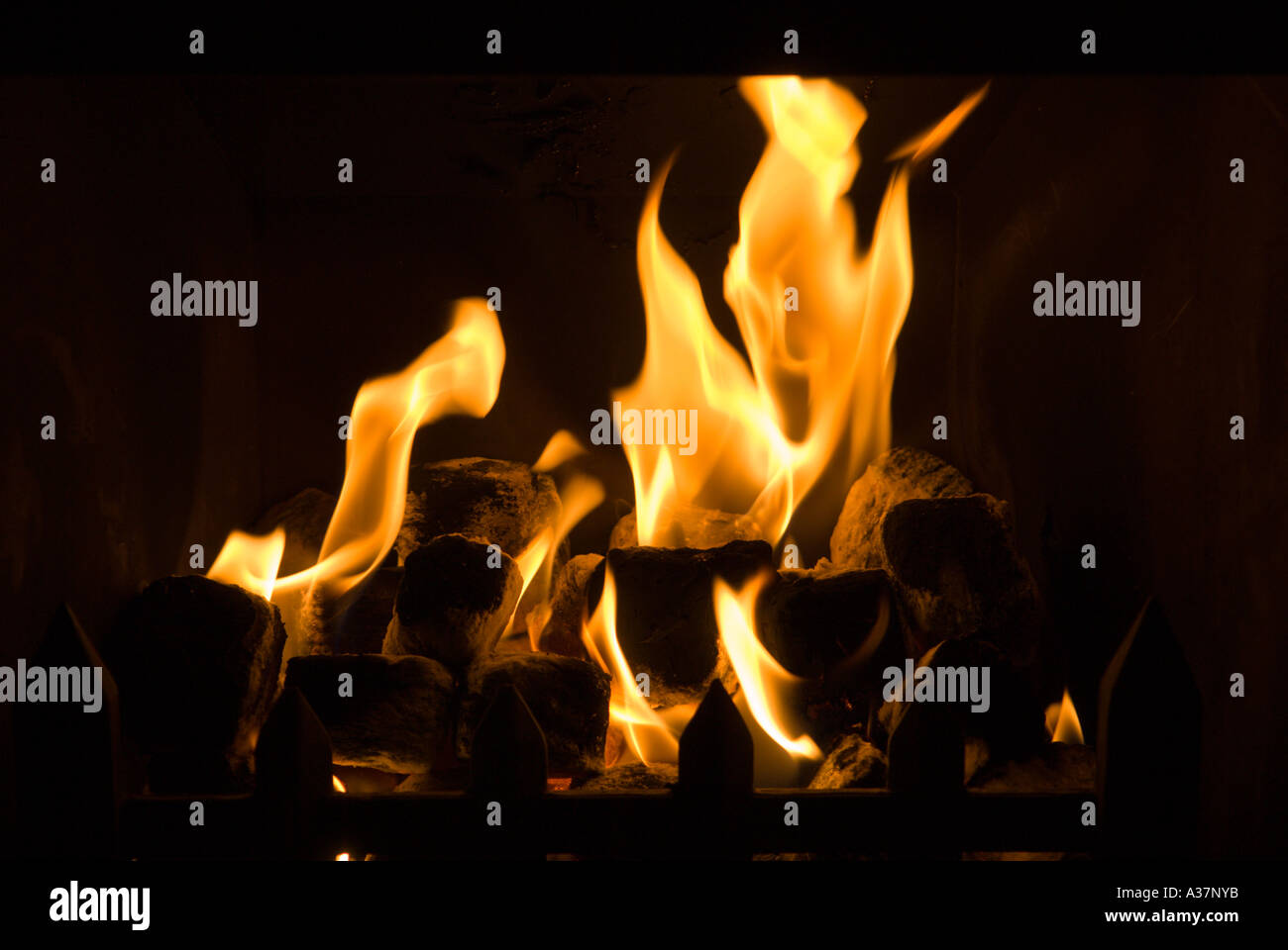 Lebendige Flamme Feuer Gasflammen Stockfoto