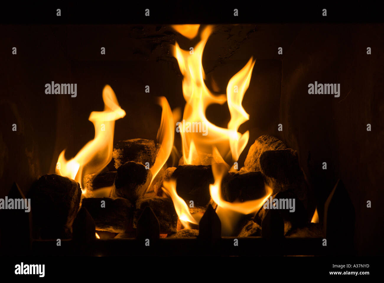 Lebendige Flamme Feuer Gasflammen Stockfoto