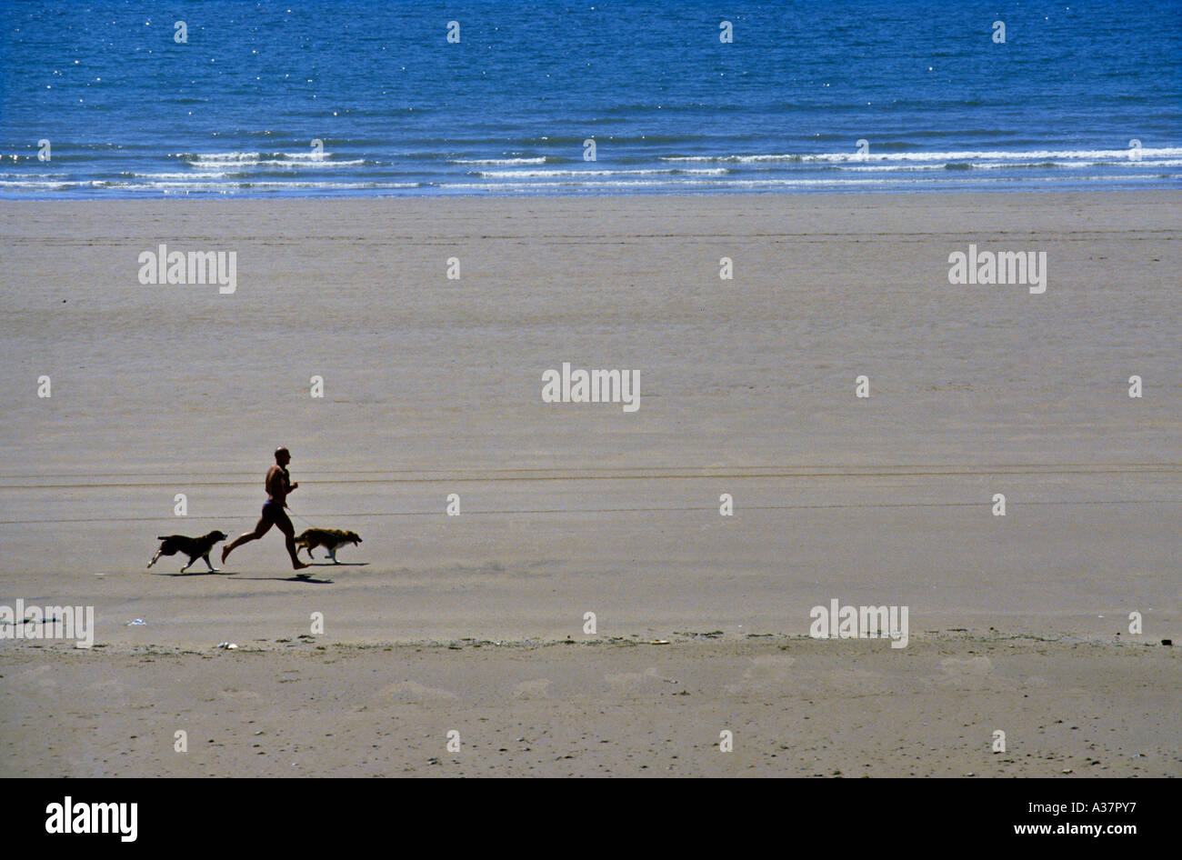 Mann läuft am Strand mit zwei Hunden Rest Bay Porthcawl Wales UK Stockfoto