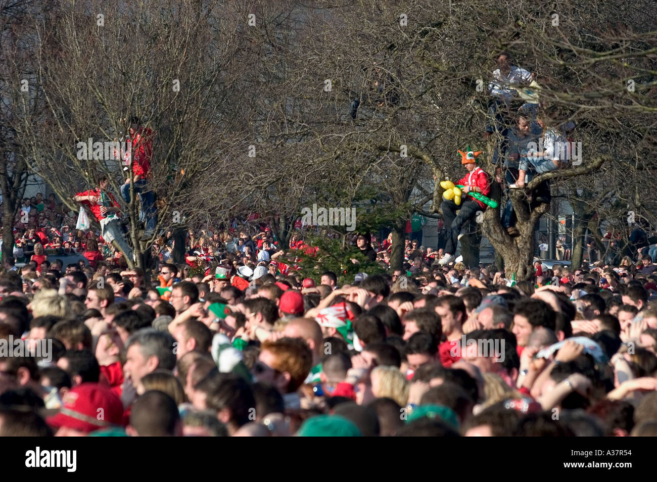 Fans beobachten Wales gewinnen Slam die Rugby-Grand 2005 Rathaus Cardiff Civic Centre South Wales Stockfoto