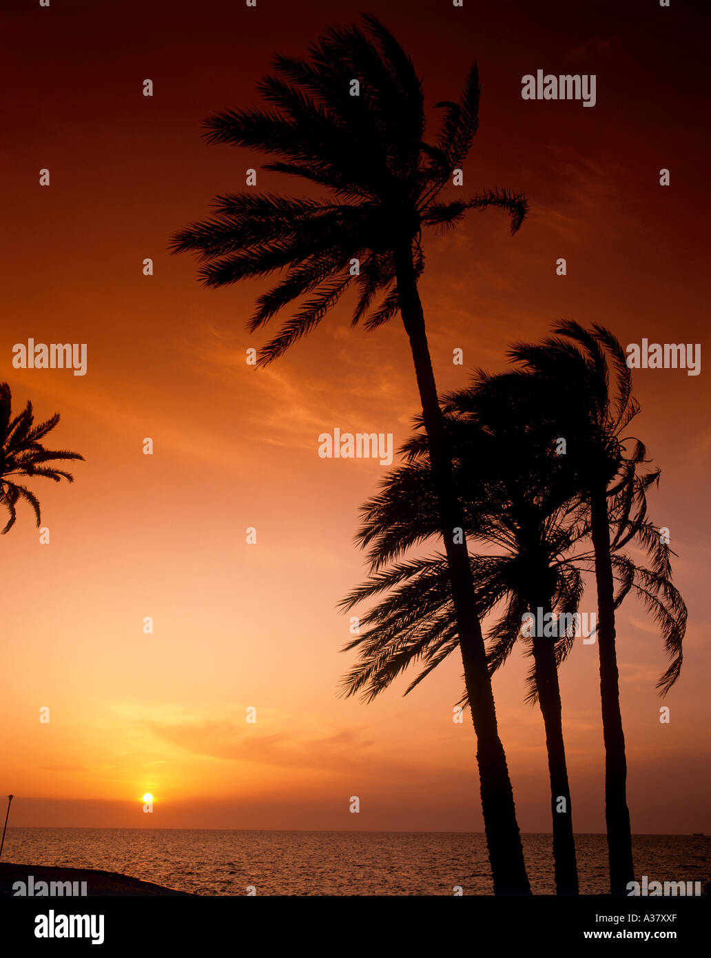Sonnenuntergang am Strand in der Nähe von Grand Hotel in Kerkennah Inseln, Tunesien, Nordafrika Stockfoto