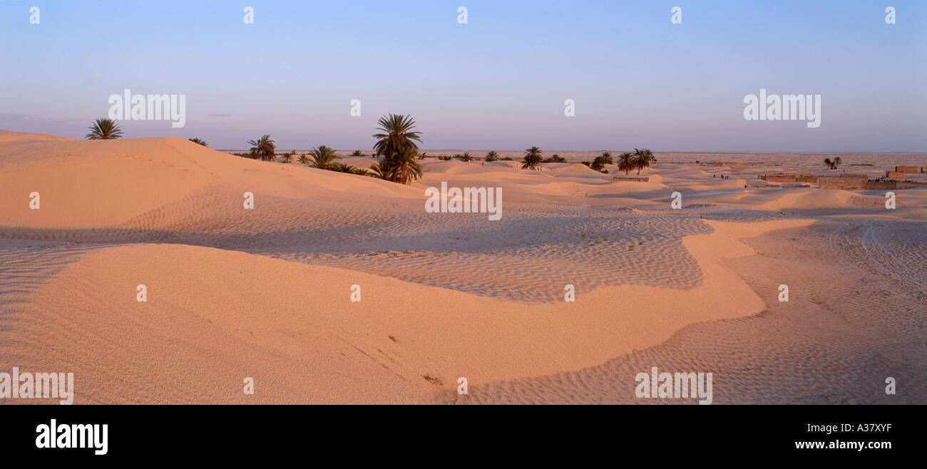 Sanddünen im Lichte der Einstellung Sonne, Douz, Sahara Wüste, Tunesien, Nordafrika Stockfoto