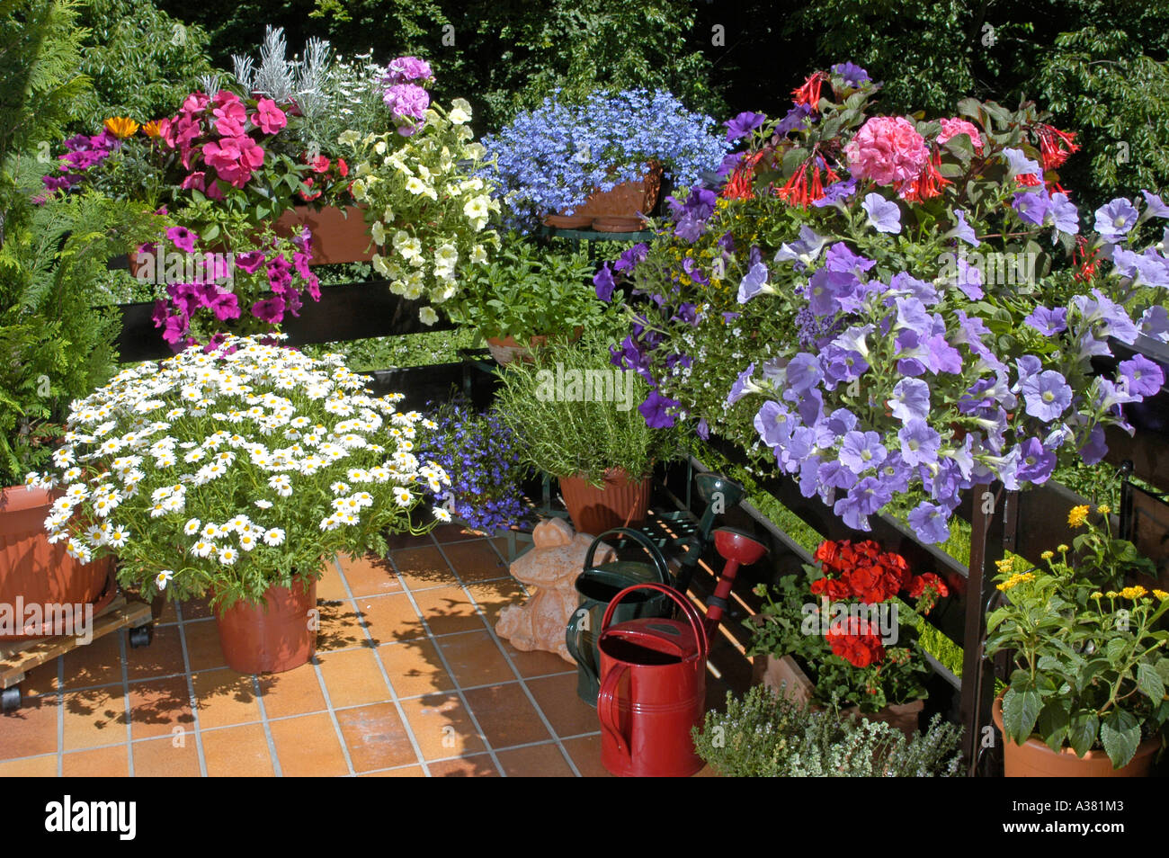 Balkonblumen Stockfotos & Balkonblumen Bilder - Alamy